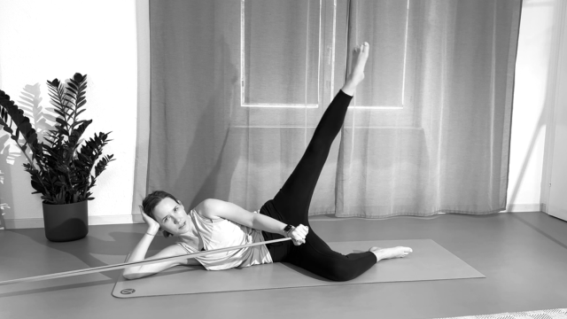 15 minutni No reformer – no problem