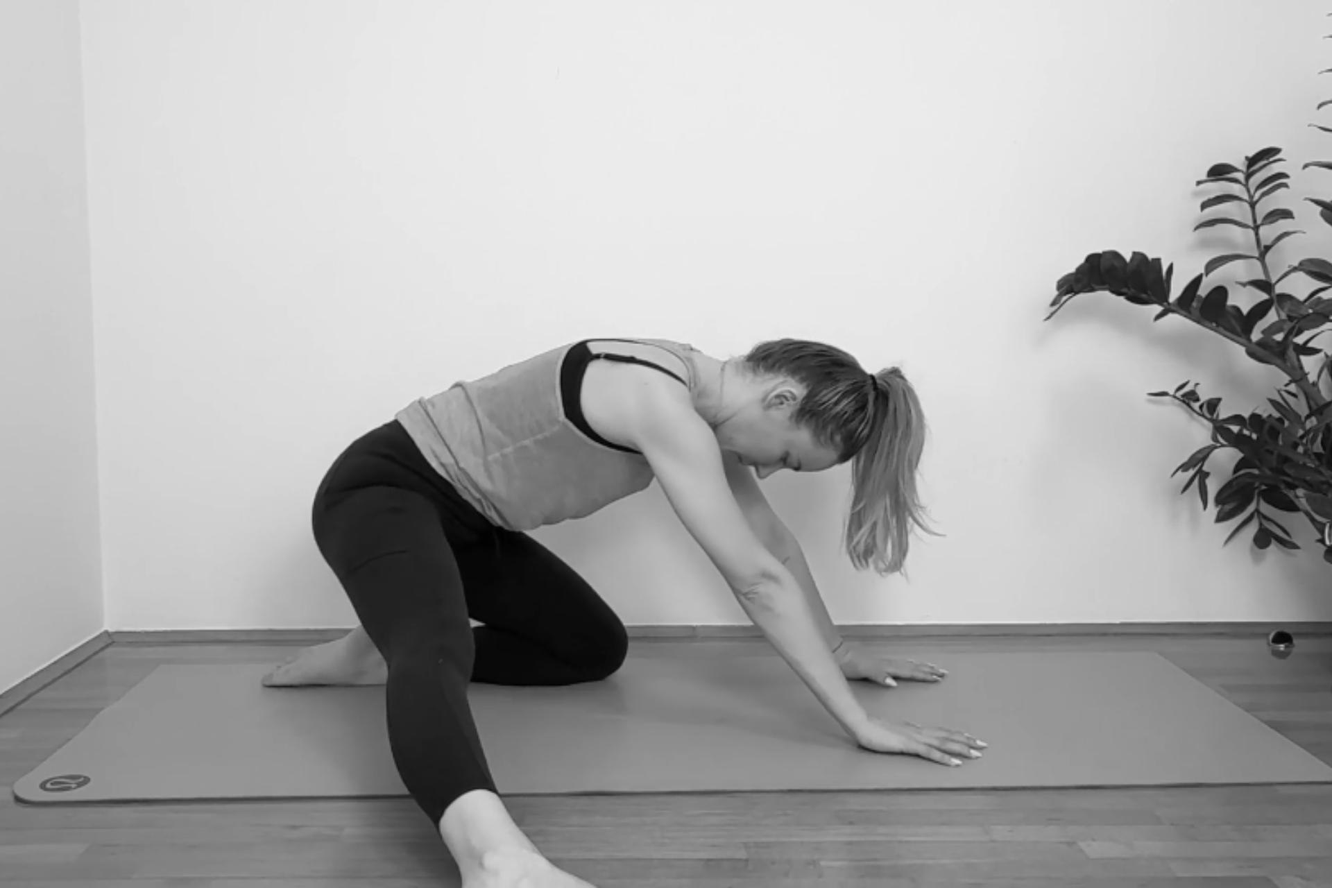 16 minutni sretni kukovi