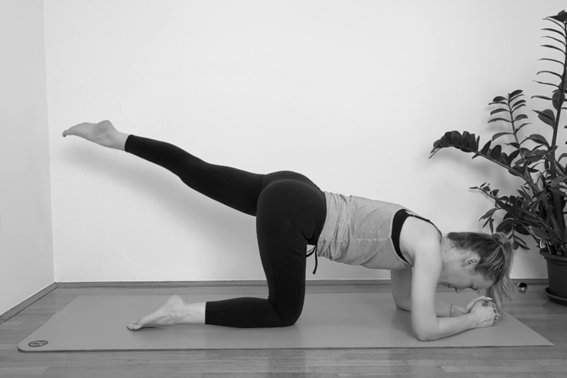 12 minutni za stražnji lanac